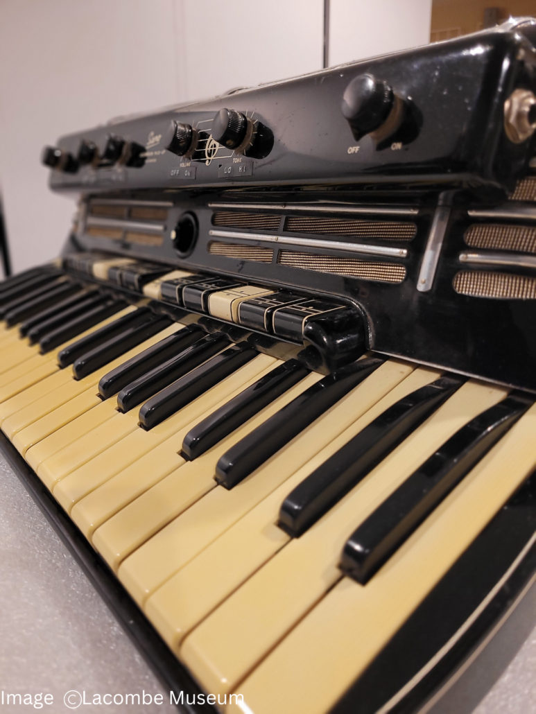 Close up of accordion keys